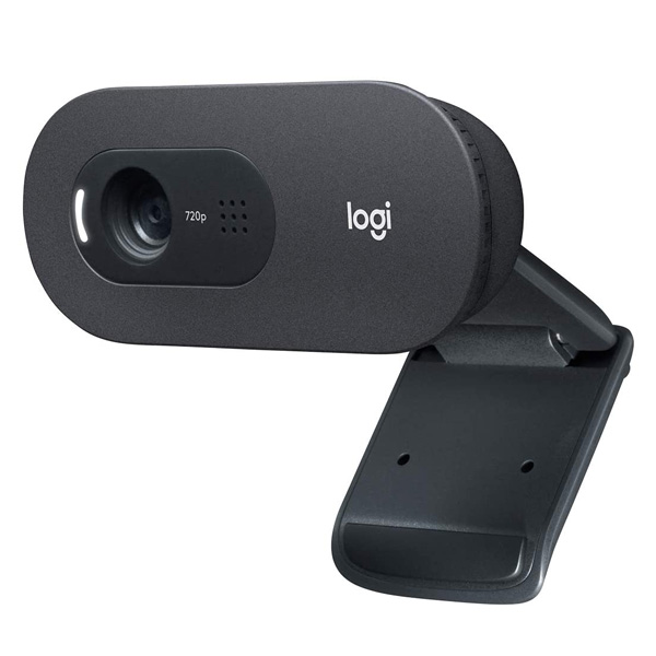Logitech C505 HD Webcam with Long Range Microphone