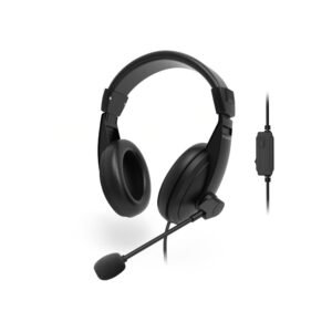 Rapoo H150S USB Stereo Headset with 40mm Driver & Mute Mic