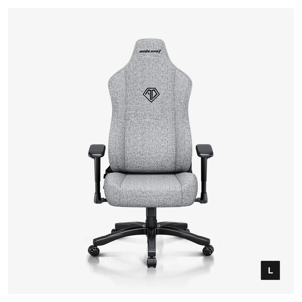 AndaSeat Novis Series Best Budget Ergonomic Gaming Chair (GREY)